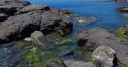Playa Barranco de enmedio1
