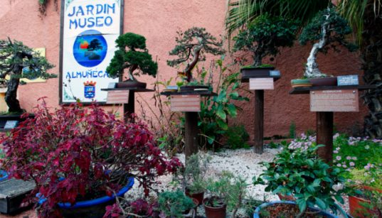 almunecar-nature-garden-museum-bonsai-1