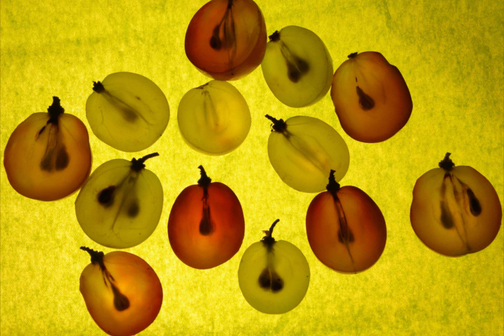 catas-de-vino-tematicas-1
