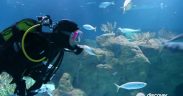 Acuario de Almuñécar