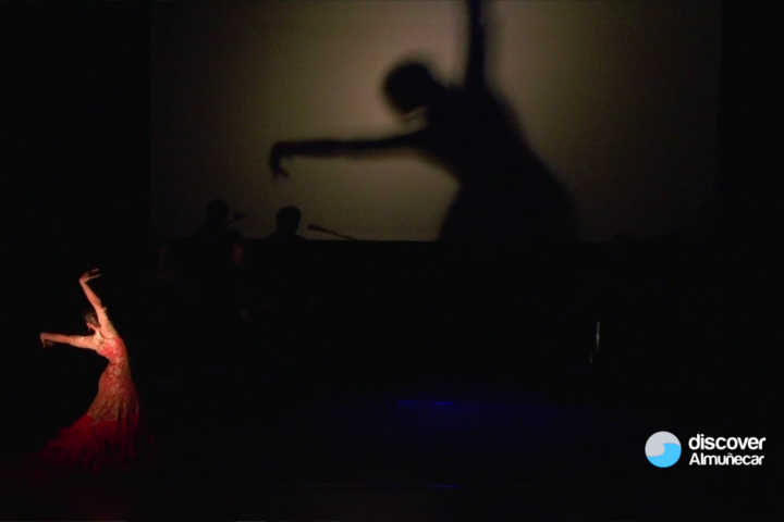 homenaje-flamenco-sacromonte-juan-andres-maya