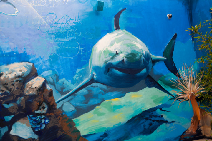 instalaciones-acuario-almuñecar-002