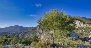 Sierra de Almijara portada